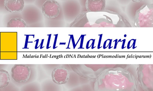 Full-Malaria